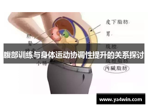 腹部训练与身体运动协调性提升的关系探讨
